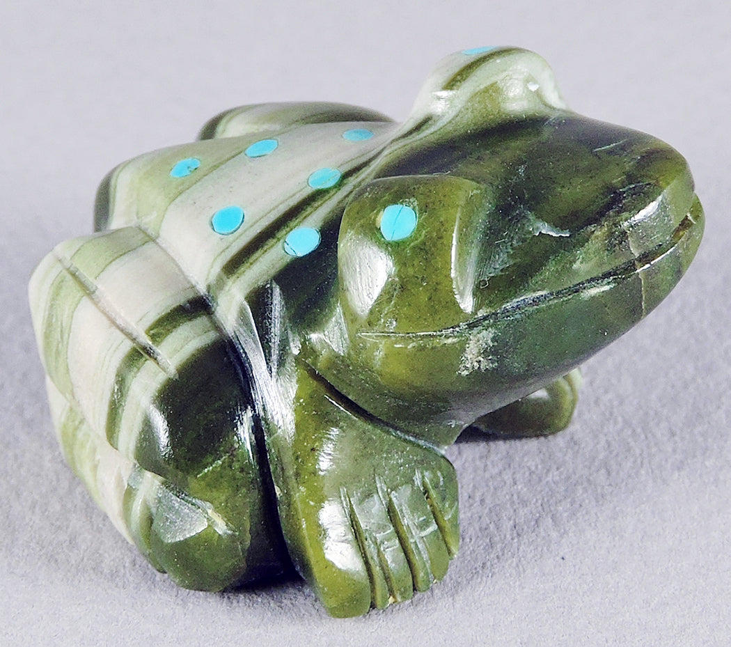 Striped Ricolite Frog