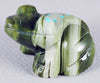 Striped Ricolite Frog