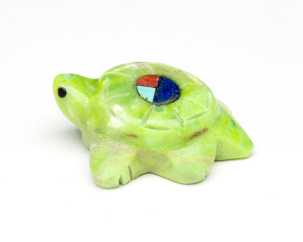 A Zuni Sunface Turtle