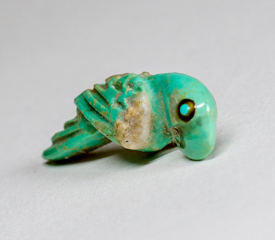 Tiny Turquoise Pocket Parrot By Dan Simplicio Jr.